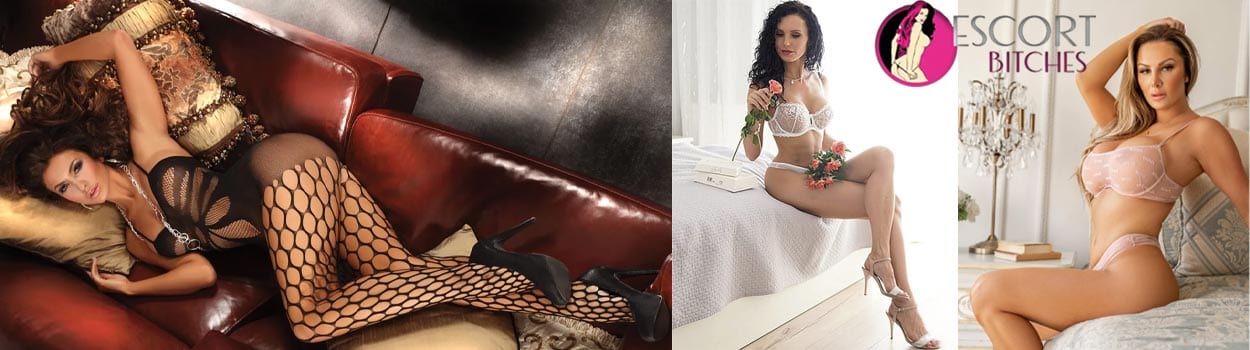 Escorts for International Visitors in Kolkata