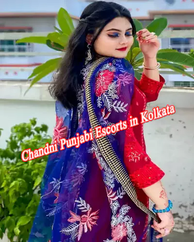 Chandni photo 1